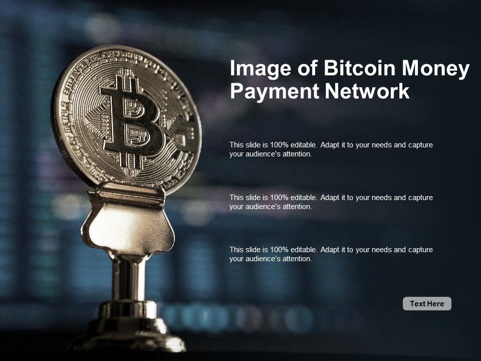 Image_Of_Bitcoin_Money_Payment_Network_Ppt_PowerPoint_Presentation_Professional_Example_Introduction_Slide_1.jpg