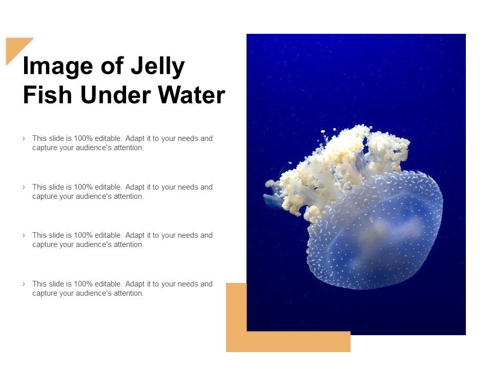 Image_Of_Jelly_Fish_Under_Water_Ppt_PowerPoint_Presentation_Layouts_Graphic_Tips_Slide_1.jpg