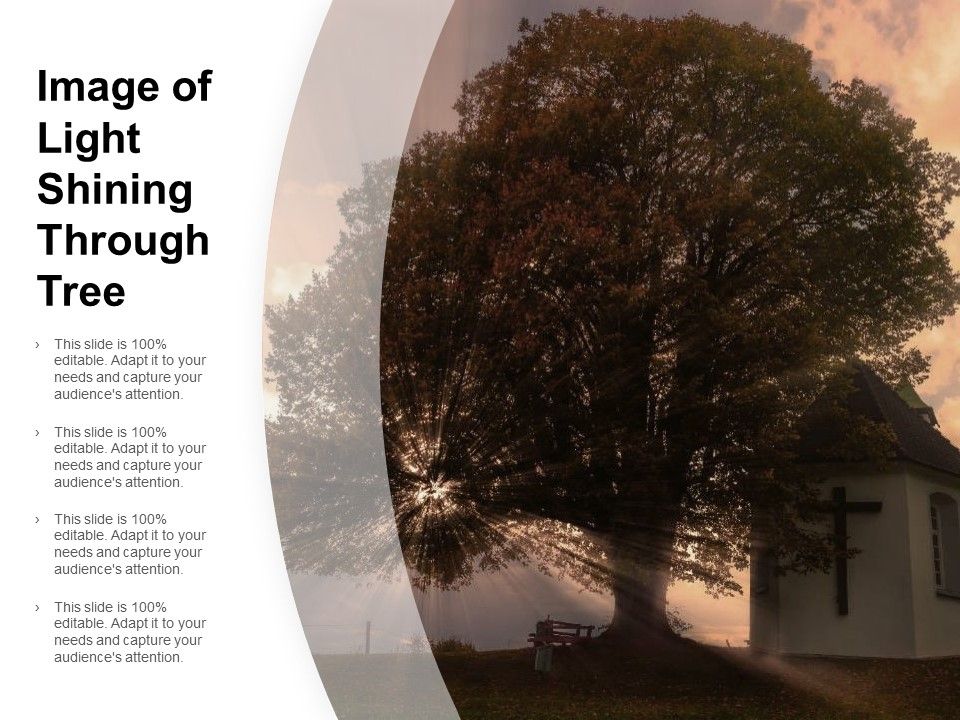 Image_Of_Light_Shining_Through_Tree_Ppt_PowerPoint_Presentation_Icon_Outfit_Slide_1.jpg