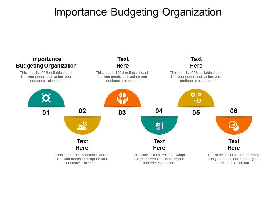 Importance_Budgeting_Organization_Ppt_PowerPoint_Presentation_Infographics_Background_Designs_Cpb_Pdf_Slide_1.jpg