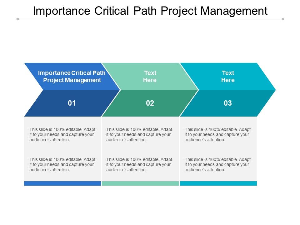 Importance_Critical_Path_Project_Management_Ppt_PowerPoint_Presentation_Show_Aids_Cpb_Slide_1.jpg