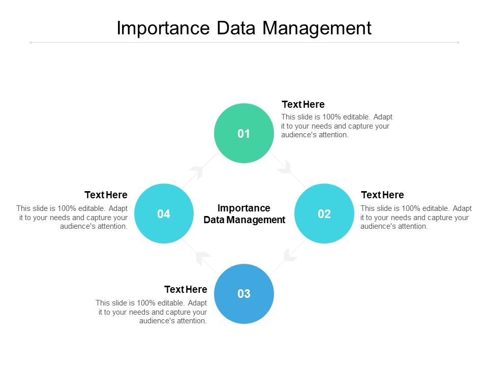 Importance_Data_Management_Ppt_PowerPoint_Presentation_Infographic_Template_Example_File_Cpb_Slide_1.jpg