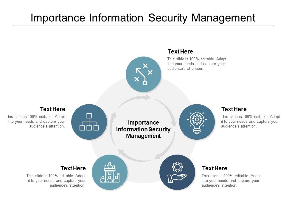 Importance_Information_Security_Management_Ppt_PowerPoint_Presentation_Professional_Samples_Slide_1.jpg