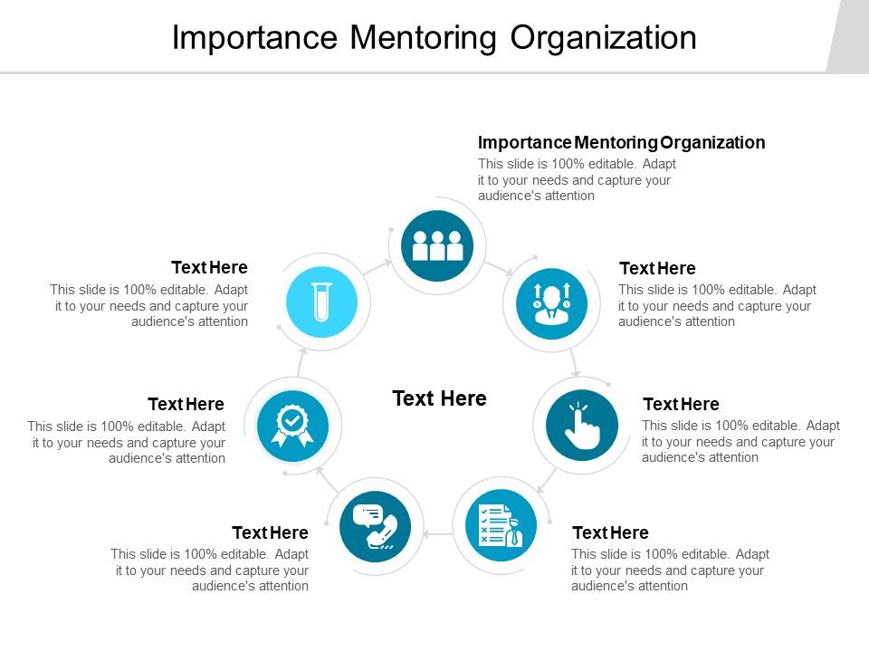 Importance_Mentoring_Organization_Ppt_PowerPoint_Presentation_Summary_Model_Cpb_Slide_1.jpg