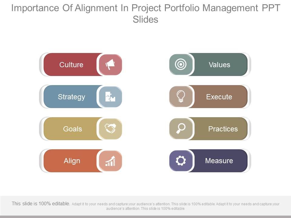 Importance_Of_Alignment_In_Project_Portfolio_Management_Ppt_Slides_1.jpg
