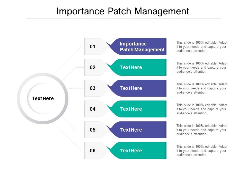 Importance_Patch_Management_Ppt_PowerPoint_Presentation_Infographic_Template_Show_Cpb_Slide_1.jpg
