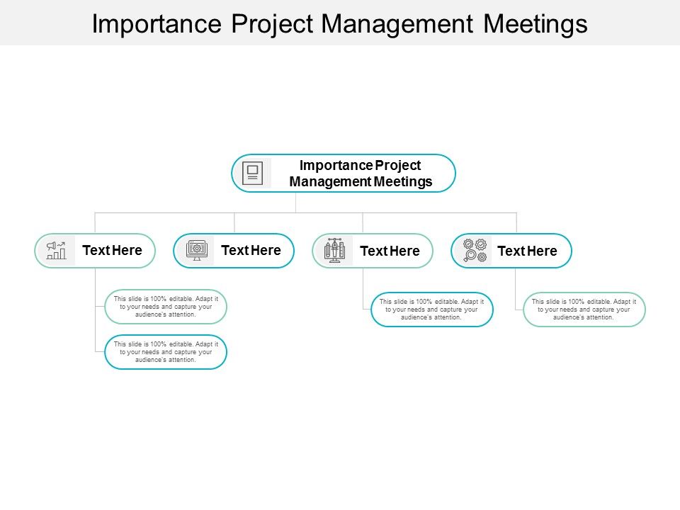 Importance_Project_Management_Meetings_Ppt_PowerPoint_Presentation_Ideas_Outfit_Cpb_Slide_1.jpg