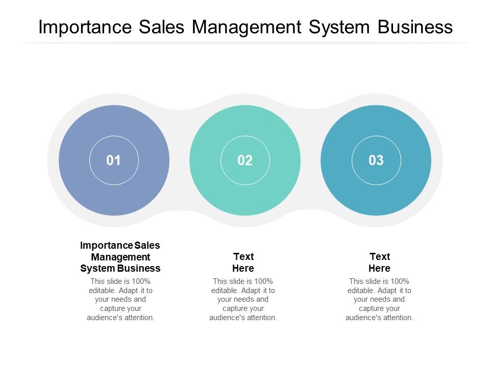 Importance_Sales_Management_System_Business_Ppt_PowerPoint_Presentation_Slides_Outfit_Cpb_Slide_1.jpg