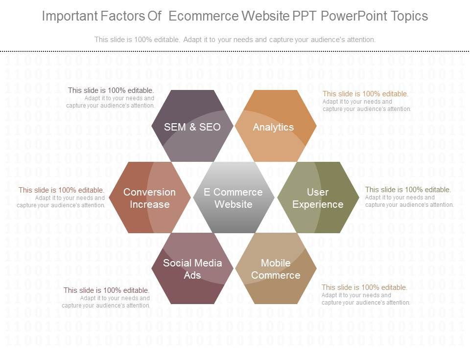 Important_Factors_Of_Ecommerce_Website_Ppt_Powerpoint_Topics_1.jpg