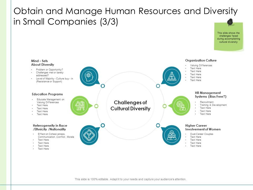 In_Depth_Business_Assessment_Obtain_And_Manage_Human_Resources_And_Diversity_In_Small_Companies_Programs_Template_PDF_Slide_1.jpg