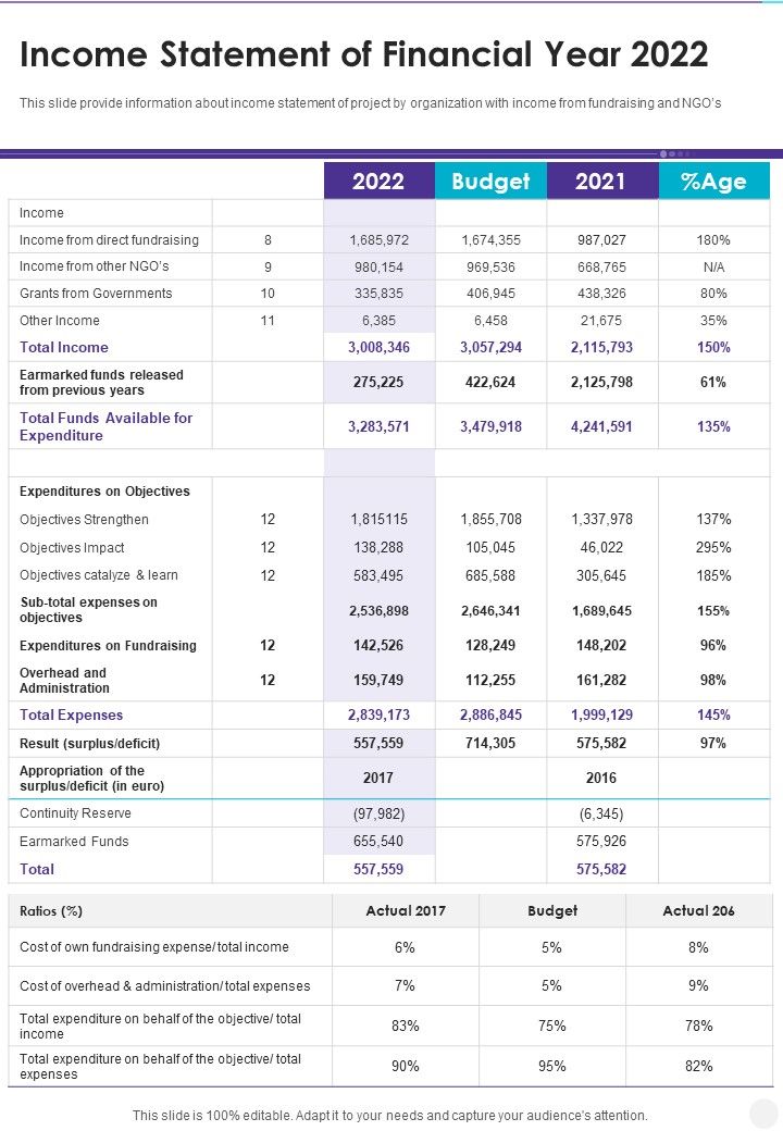 Income_Statement_Of_Financial_Year_2022_One_Pager_Documents_Slide_1.jpg