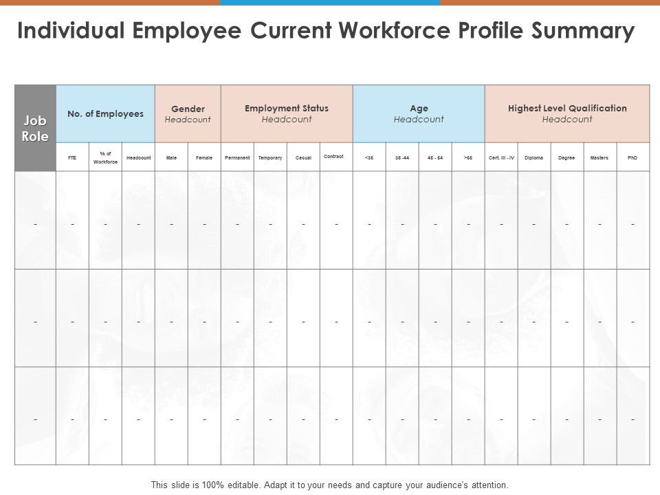 Individual_Employee_Current_Workforce_Profile_Summary_Ppt_PowerPoint_Presentation_Layouts_Templates_PDF_Slide_1.jpg