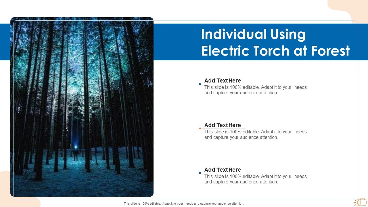 Individual_Using_Electric_Torch_At_Forest_Demonstration_PDF_Slide_1.jpg