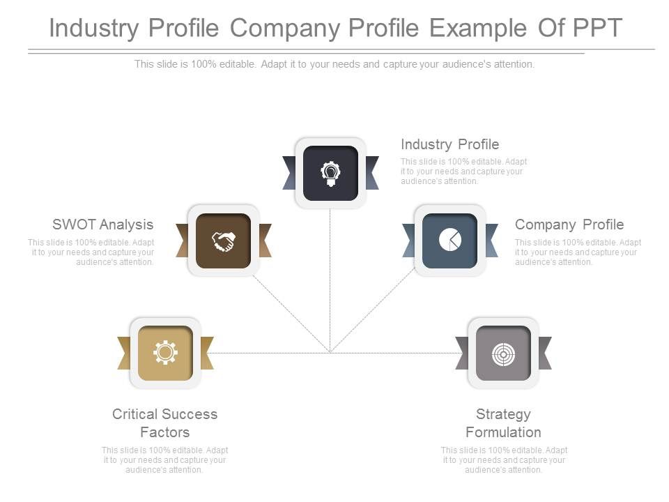 Industry_Profile_Company_Profile_Example_Of_Ppt_1.jpg