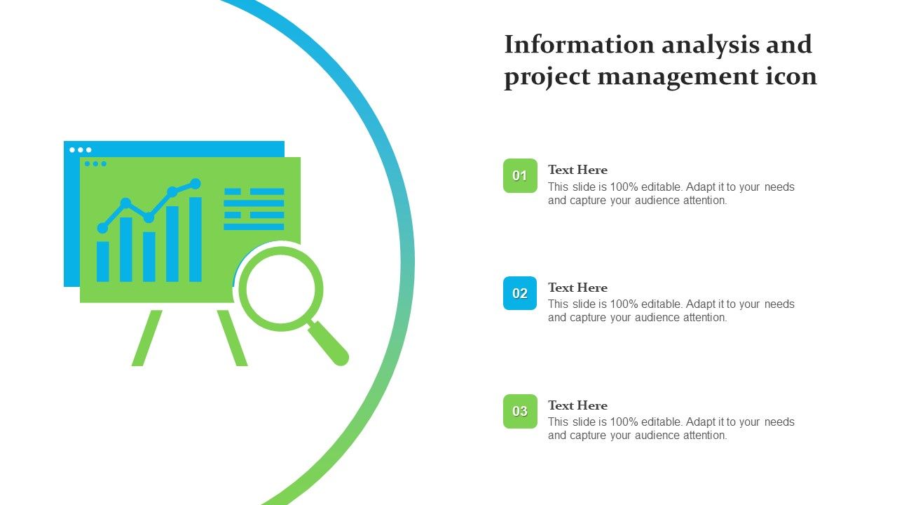 Information_Analysis_And_Project_Management_Icon_Ppt_Layouts_Graphics_Download_PDF_Slide_1.jpg