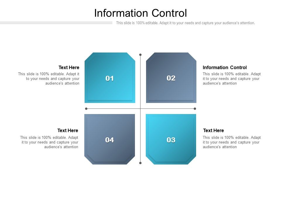 Information_Control_Ppt_PowerPoint_Presentation_Pictures_Files_Cpb_Pdf_Slide_1.jpg