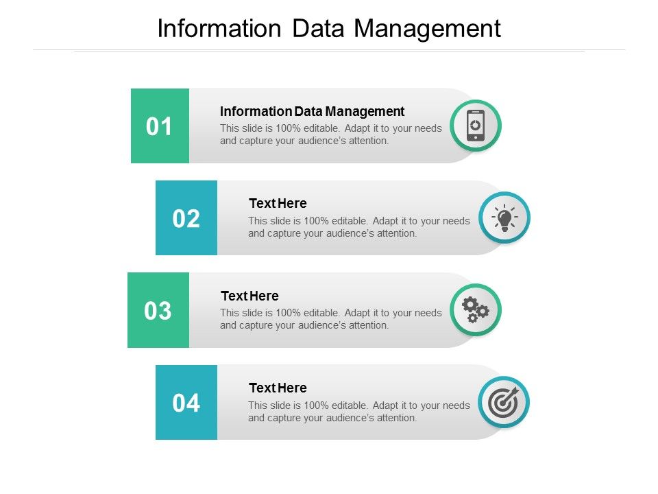 Information_Data_Management_Ppt_PowerPoint_Presentation_Ideas_Example_File_Cpb_Slide_1.jpg