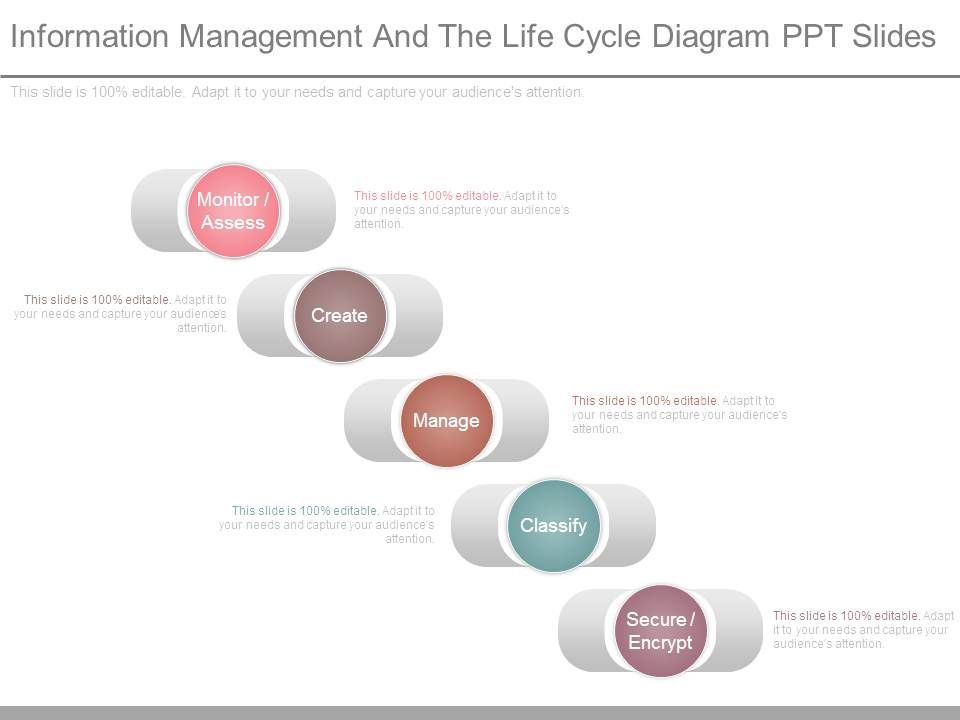 Information_Management_And_The_Life_Cycle_Diagram_Ppt_Slides_1.jpg