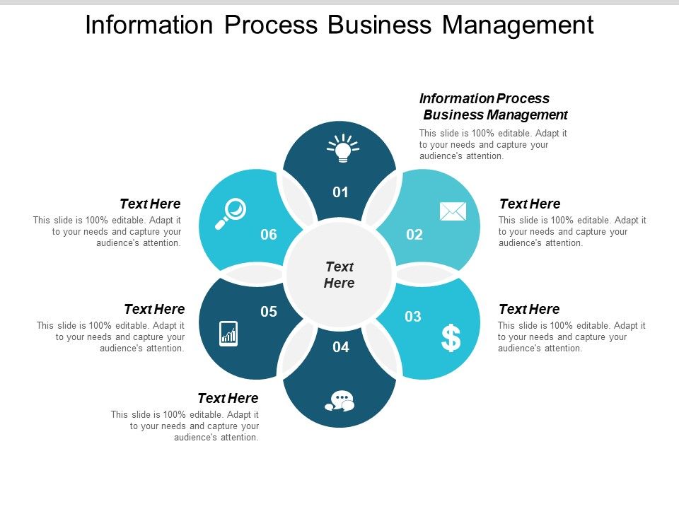 Information_Process_Business_Management_Ppt_PowerPoint_Presentation_Infographics_Graphic_Images_Cpb_Slide_1.jpg