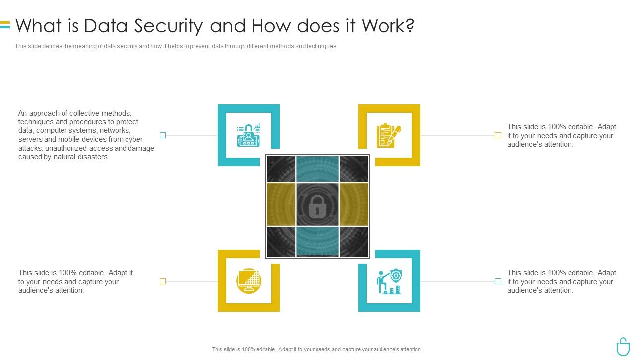 Information_Security_What_Is_Data_Security_And_How_Does_It_Work_Ppt_Professional_Infographics_PDF_Slide_1.jpg