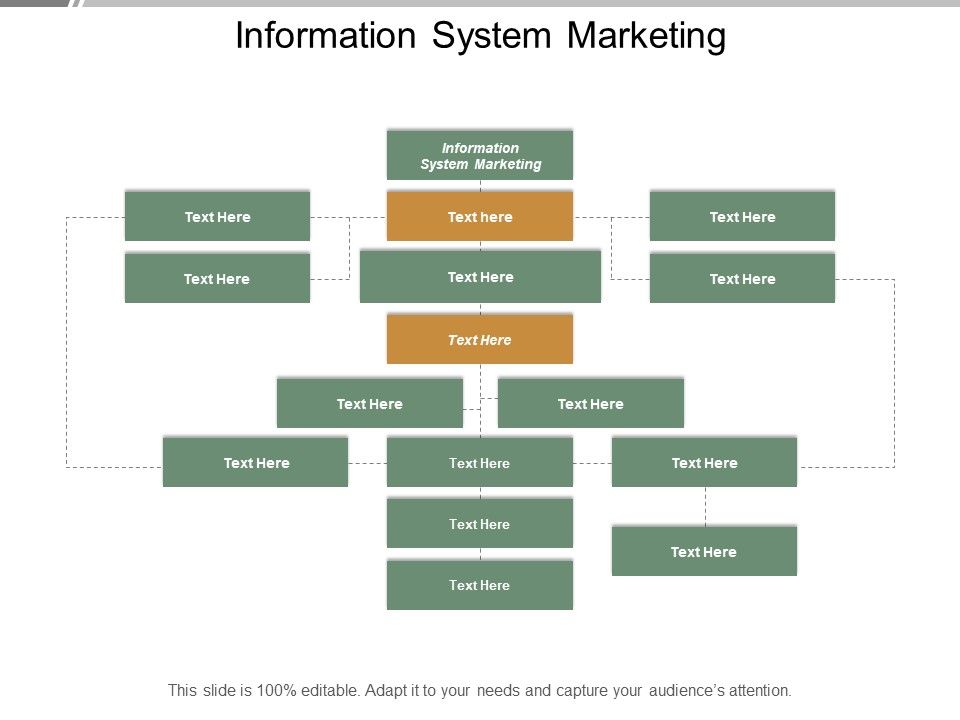 Information_System_Marketing_Ppt_PowerPoint_Presentation_Styles_Display_Cpb_Slide_1.jpg