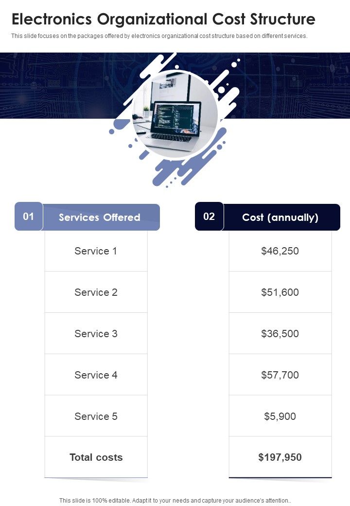 Information Technology Strategic Planning Electronics Organizational Cost Structure One Pager Sample Example Document Slide01