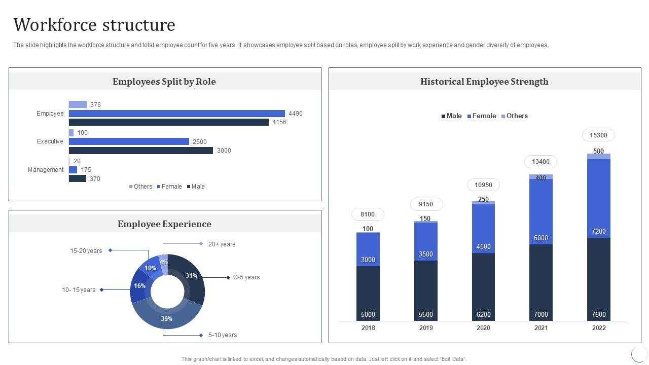 Infotech_Solutions_Research_And_Development_Company_Summary_Workforce_Structure_Topics_PDF_Slide_1.jpg