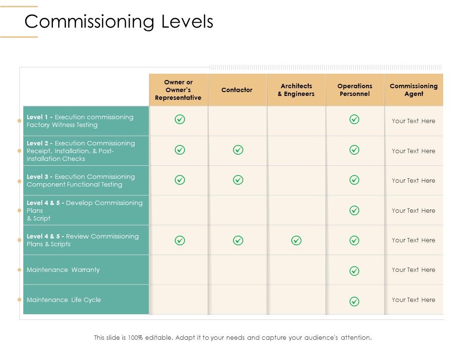 Infrastructure_Strategies_Commissioning_Levels_Ppt_Professional_Objects_PDF_Slide_1.jpg