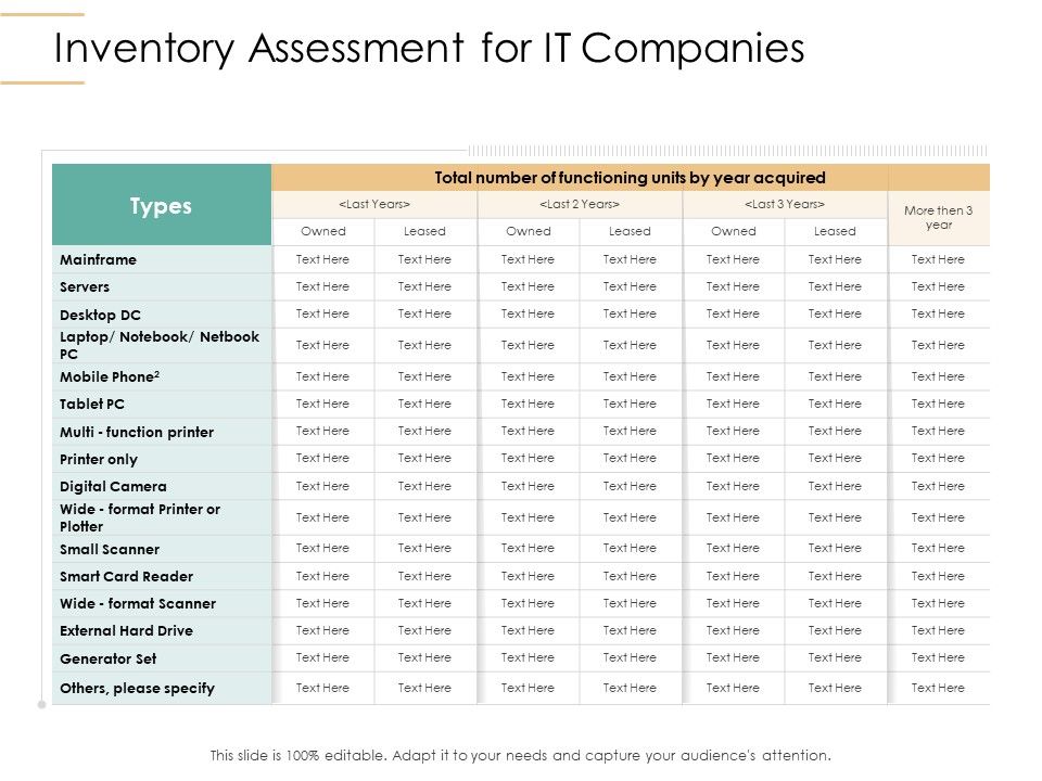 Infrastructure_Strategies_Inventory_Assessment_For_IT_Companies_Ppt_Styles_Clipart_PDF_Slide_1.jpg