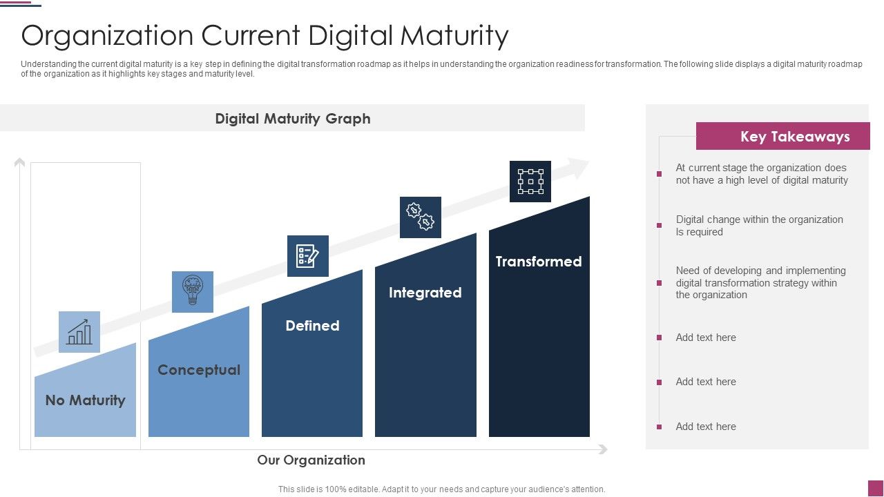 Innovation_Procedure_For_Online_Business_Organization_Current_Digital_Maturity_Template_PDF_Slide_1.jpg