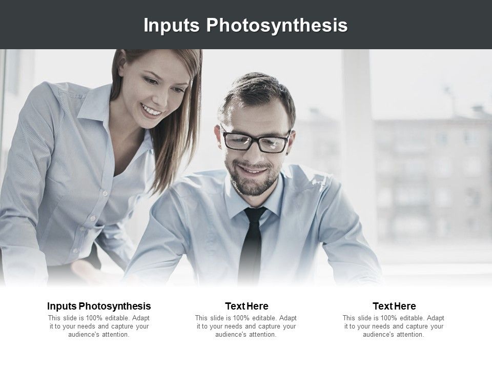 Inputs_Photosynthesis_Ppt_PowerPoint_Presentation_Portfolio_Example_Cpb_Pdf_Slide_1.jpg