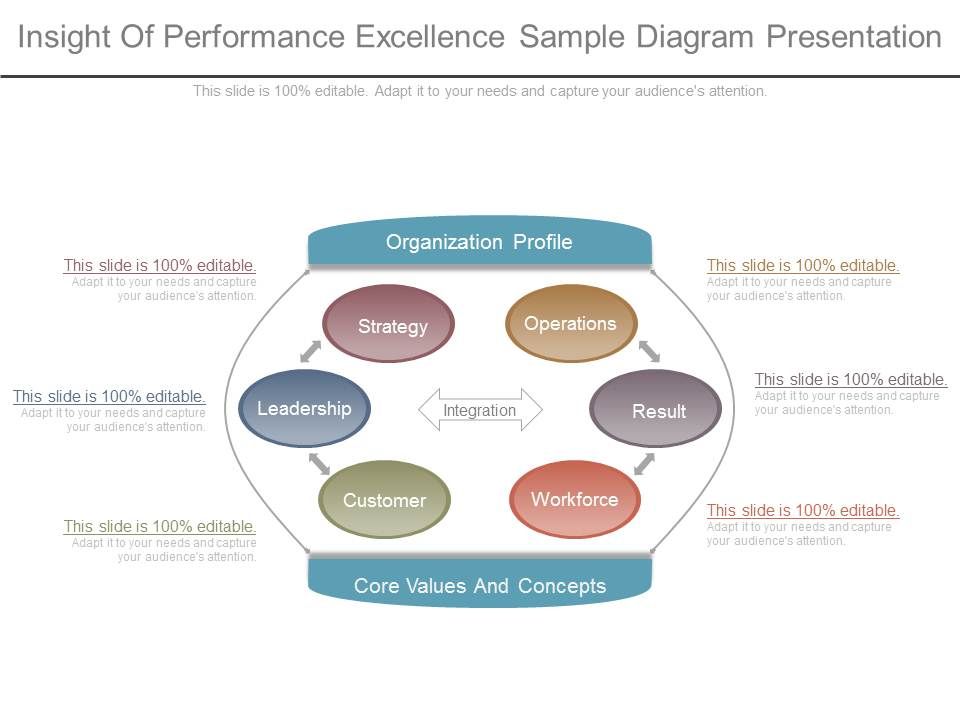 Insight_Of_Performance_Excellence_Sample_Diagram_Presentation_1.jpg