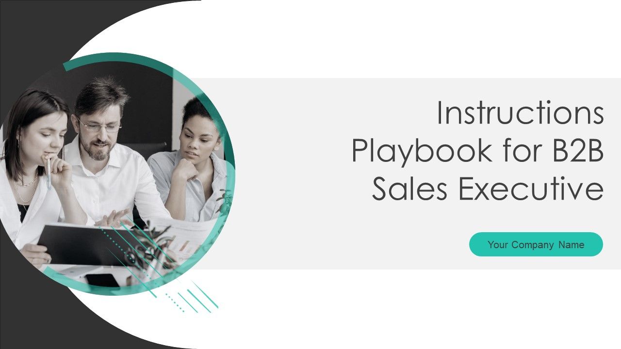 Instructions_Playbook_For_B2B_Sales_Executive_Ppt_PowerPoint_Presentation_Complete_Deck_With_Slides_Slide_1.jpg