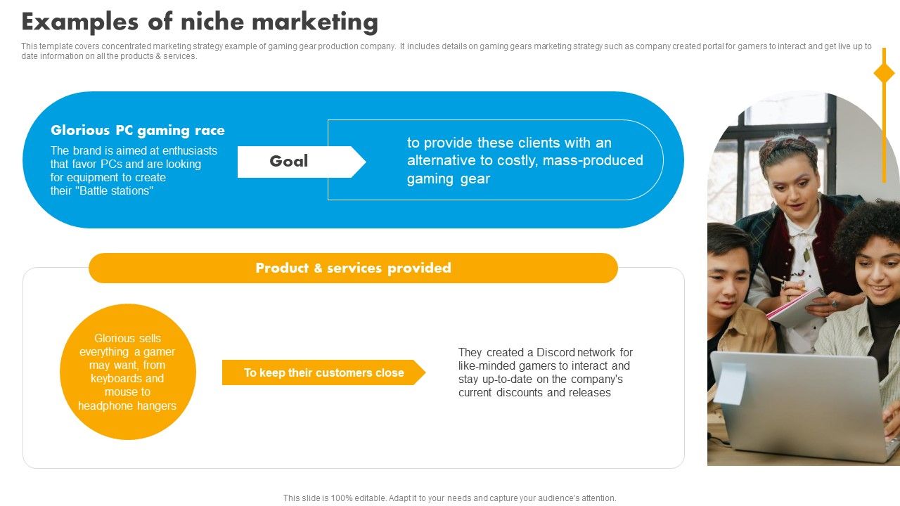 Integrating_Effective_Target_Marketing_Tactics_Examples_Of_Niche_Marketing_Infographics_PDF_Slide_1.jpg