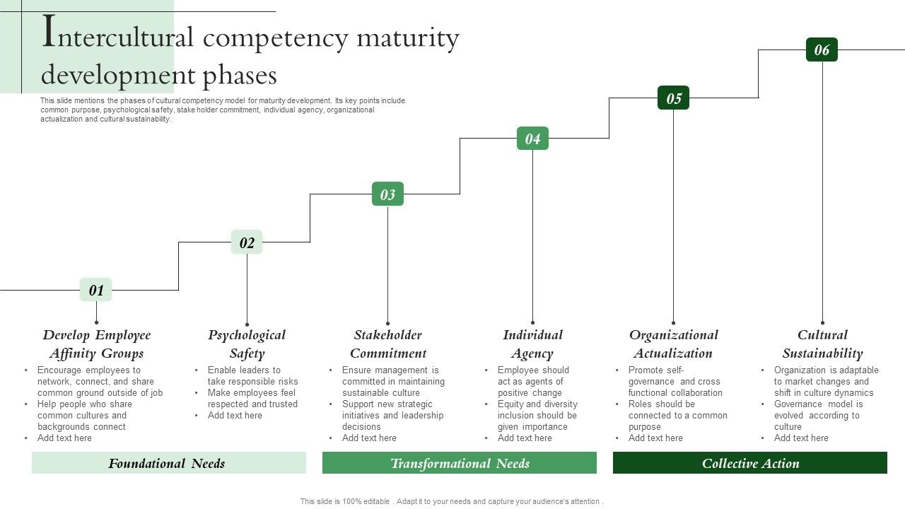 Intercultural_Competency_Maturity_Development_Phases_Themes_PDF_Slide_1.jpg
