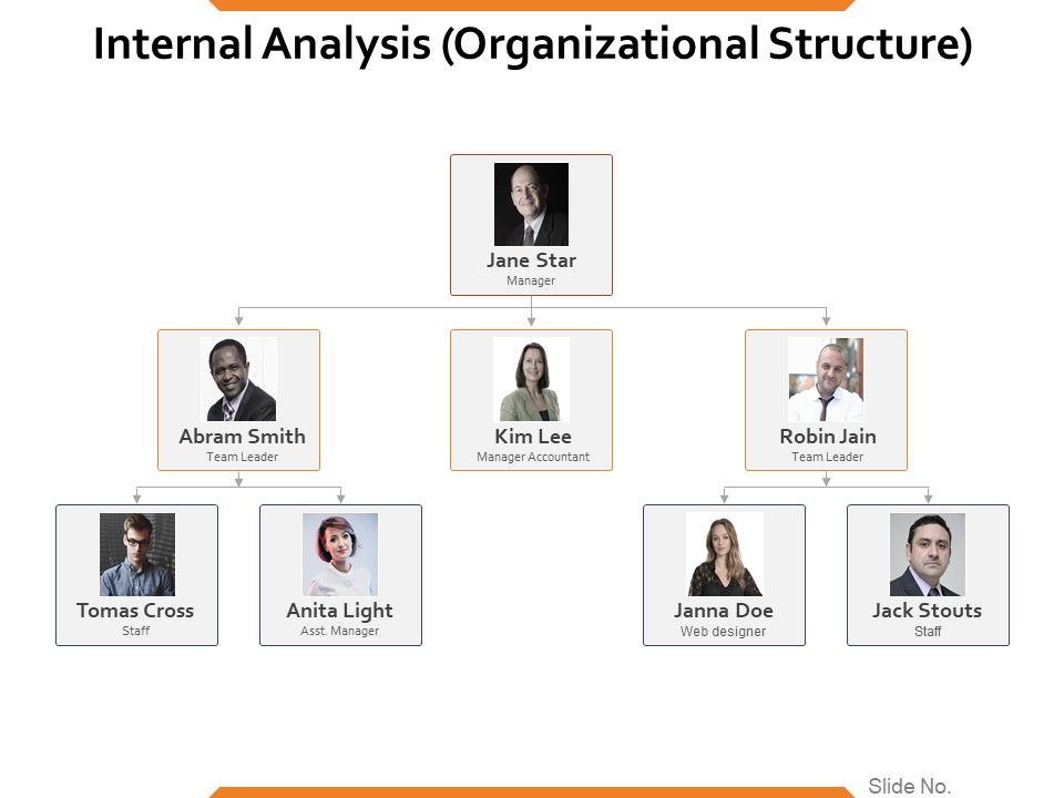 Internal_Analysis_Organizational_Structure_Ppt_PowerPoint_Presentation_Infographic_Template_Clipart_Slide_1.jpg