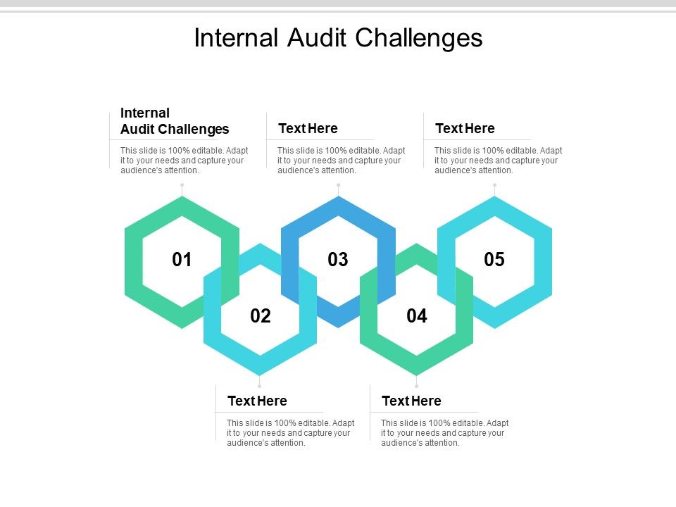 Internal_Audit_Challenges_Ppt_PowerPoint_Presentation_Outline_Example_File_Cpb_Slide_1.jpg