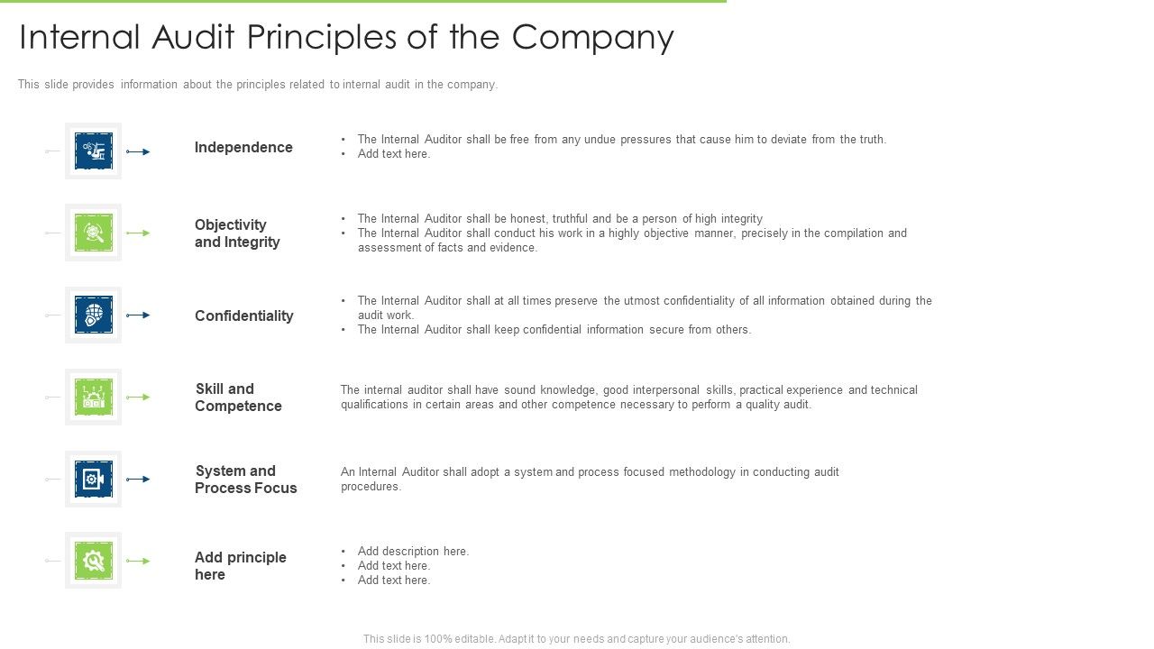 Internal_Audit_Principles_Of_The_Company_Infographics_PDF_Slide_1.jpg