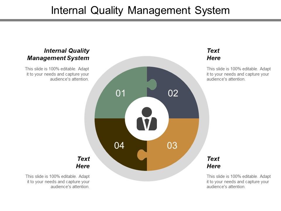 Internal_Quality_Management_System_Ppt_PowerPoint_Presentation_Pictures_Example_Slide_1.jpg