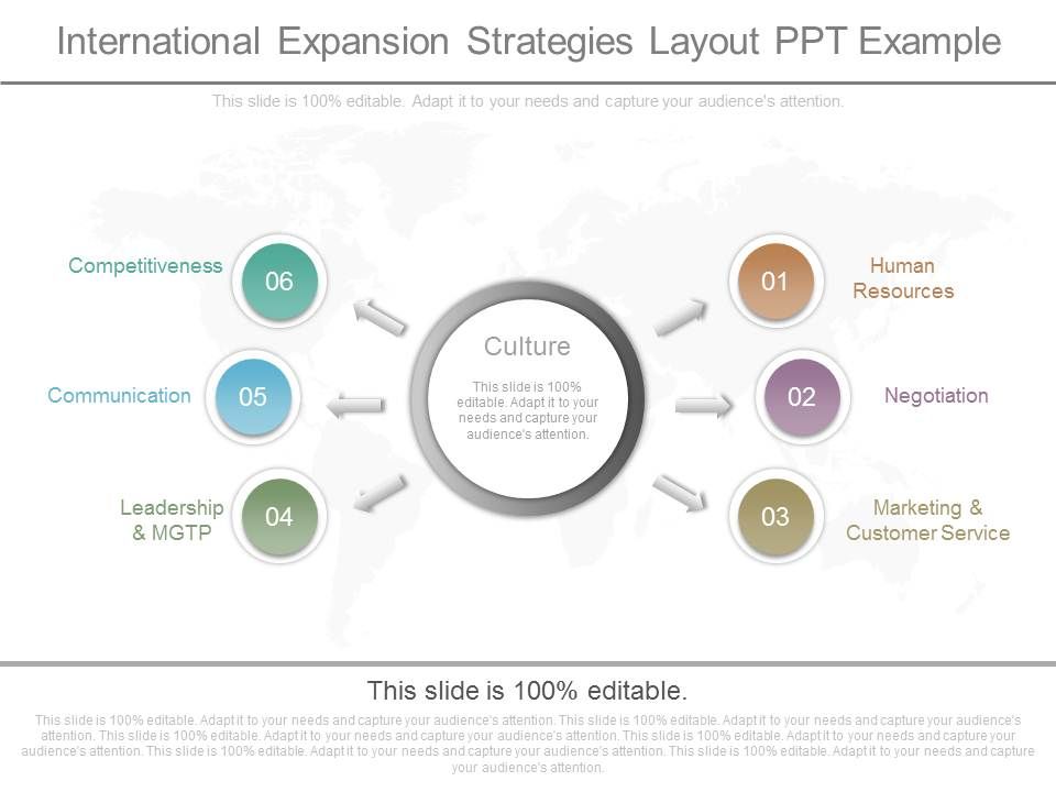 International_Expansion_Strategies_Layout_Ppt_Example_1.jpg