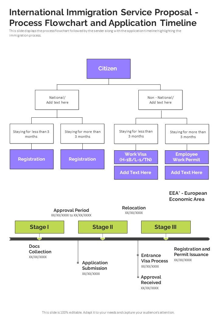 International Immigration Service Proposal Process Flowchart And Application Timeline One Pager Sample Example Document Slide01