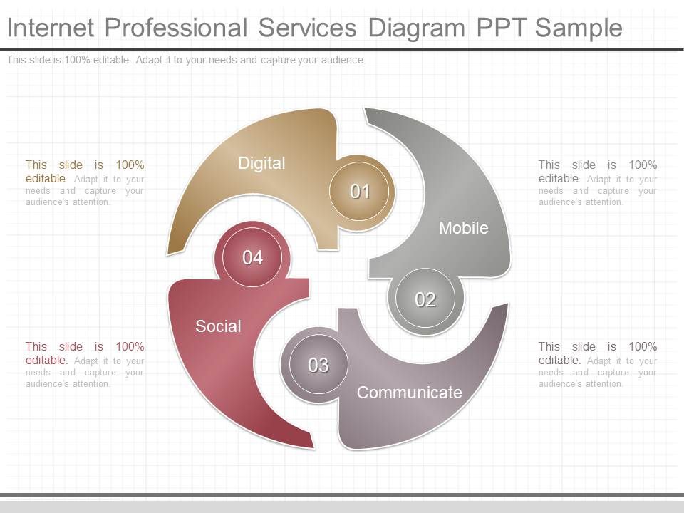 Internet_Professional_Services_Diagram_Ppt_Sample_1.jpg