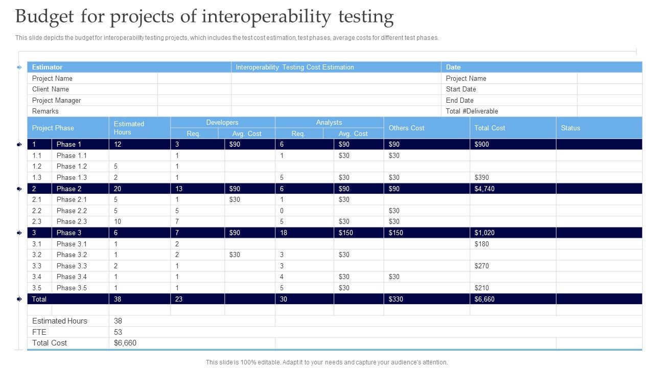Interoperability_Software_Testing_Budget_For_Projects_Of_Interoperability_Testing_Summary_PDF_Slide_1.jpg