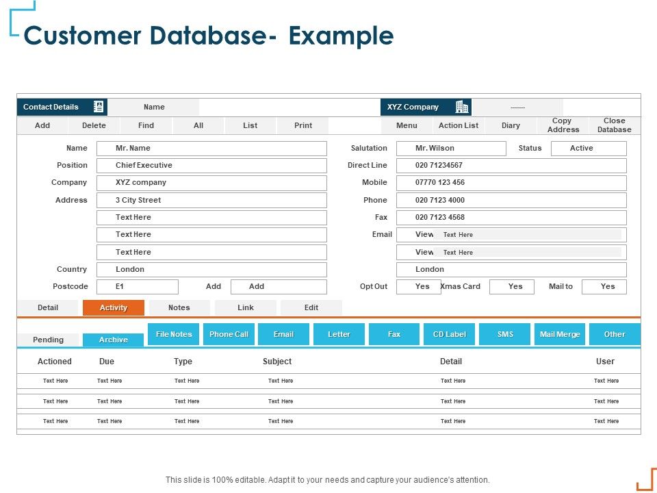 Introducing_CRM_Framework_Within_Organization_Customer_Database_Example_Mockup_PDF_Slide_1.jpg