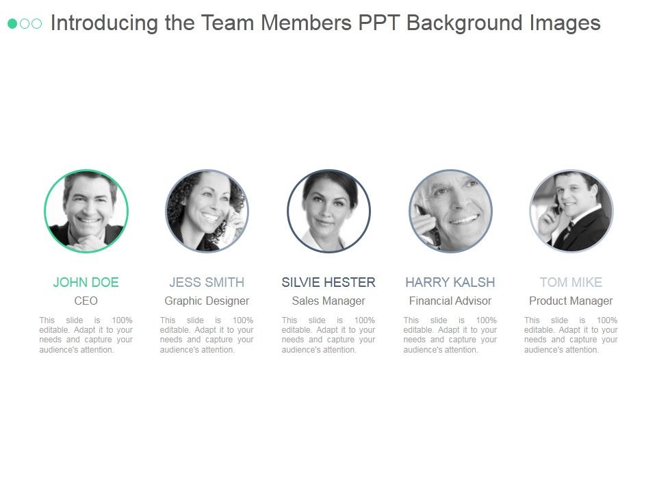Introducing_The_Team_Members_Ppt_PowerPoint_Presentation_Portfolio_Slide_1.jpg