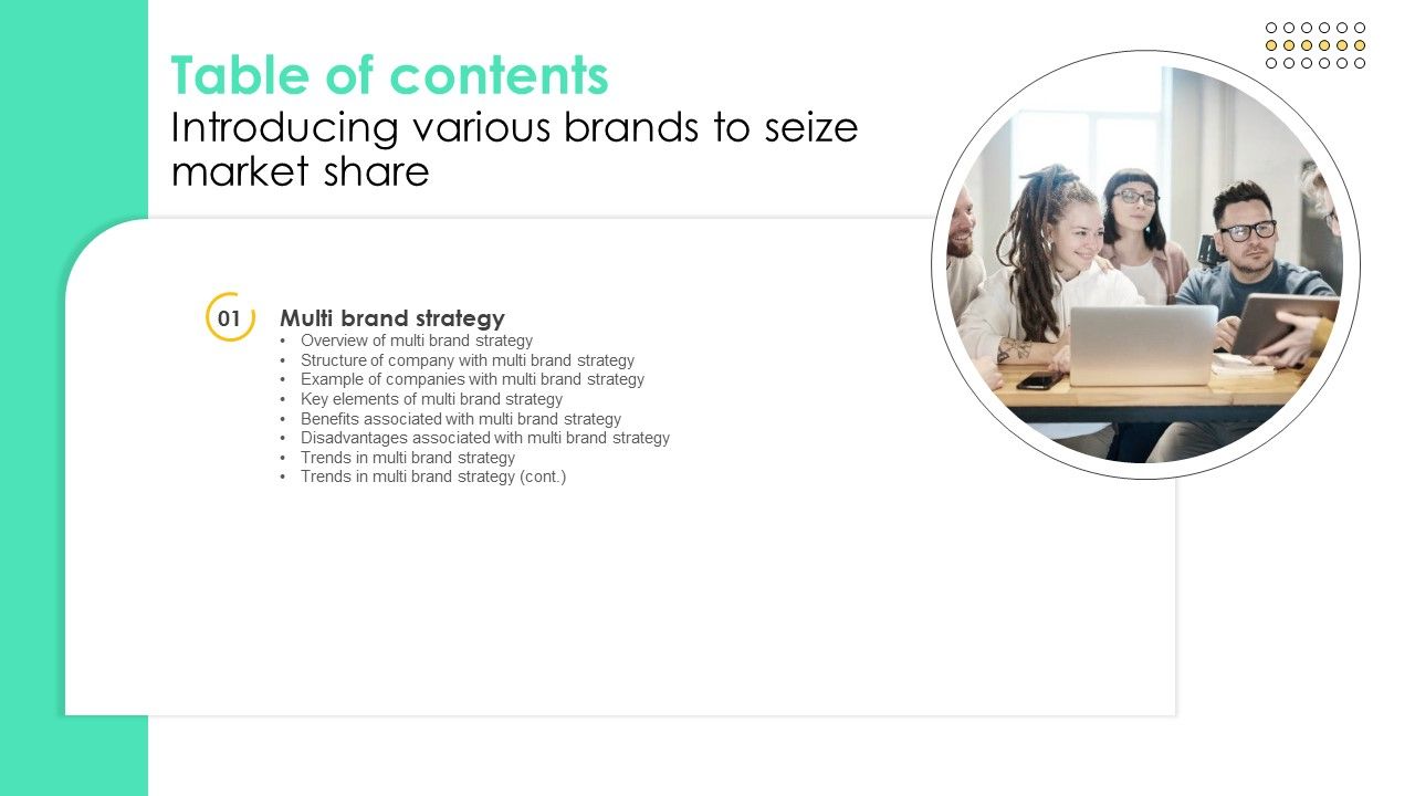 Introducing_Various_Brands_To_Seize_Market_Share_Table_Of_Contents_Download_PDF_Slide_1.jpg