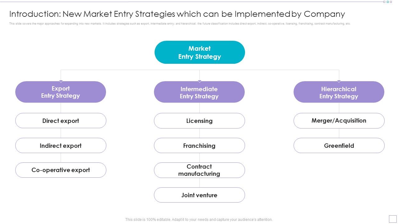 Introduction_New_Market_Entry_Strategies_Which_Can_Be_Implemented_By_Company_Portrait_PDF_Slide_1.jpg