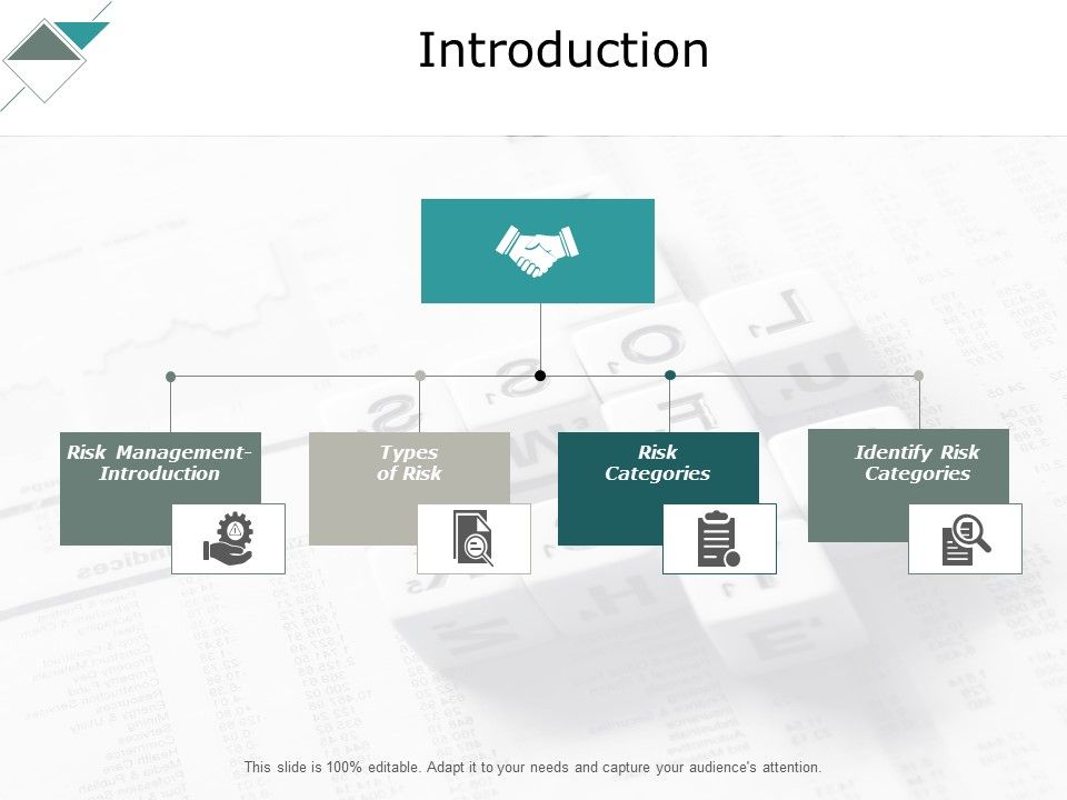 Introduction_Risk_Management_Ppt_PowerPoint_Presentation_Professional_Portrait_Slide_1.jpg