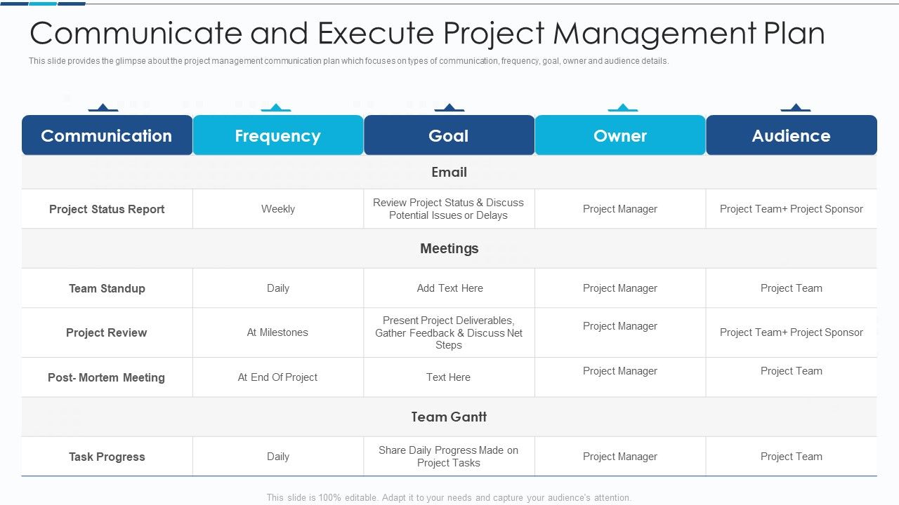 Introduction_To_IT_Project_Development_Communicate_And_Execute_Project_Management_Plan_Themes_PDF_Slide_1.jpg