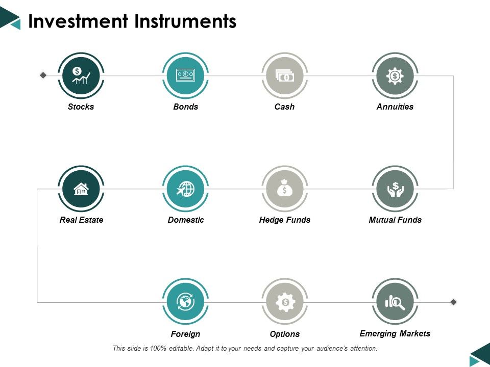 Investment_Instruments_Ppt_PowerPoint_Presentation_Show_Styles_Slide_1.jpg